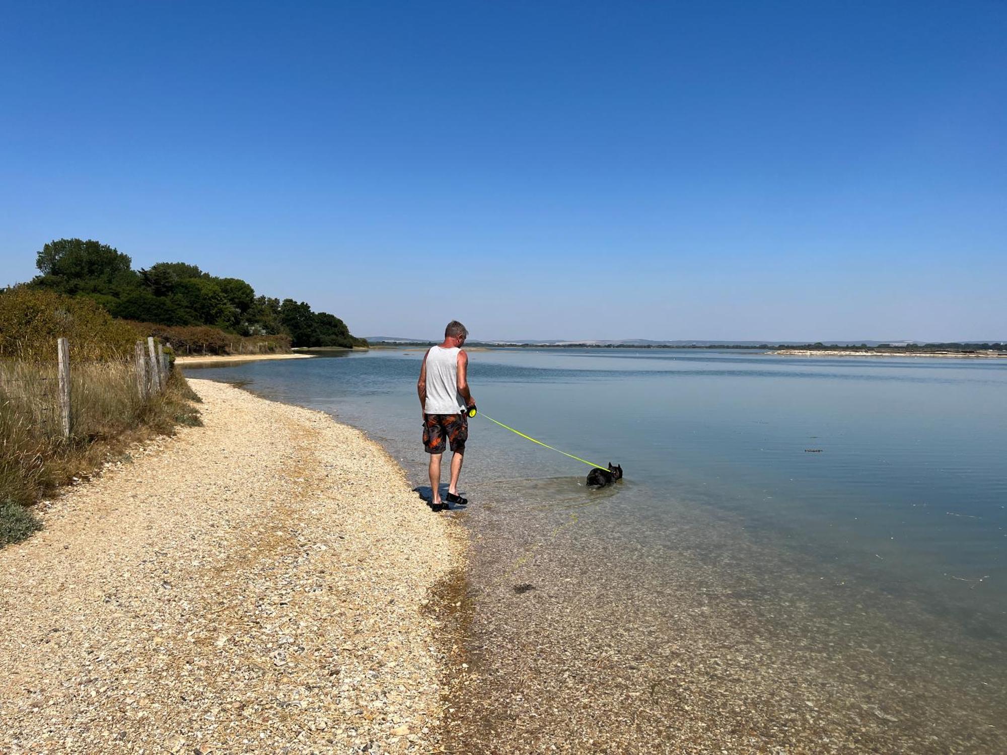 Stay At 'The Elms' In Tranquil Church Norton, Selsey - Ground Floor Bedroom, Own Private Bathroom, Quiet Beach, 2 Acre Garden By The Sea, On Edge Of Wildlife Nature Reserve Bagian luar foto