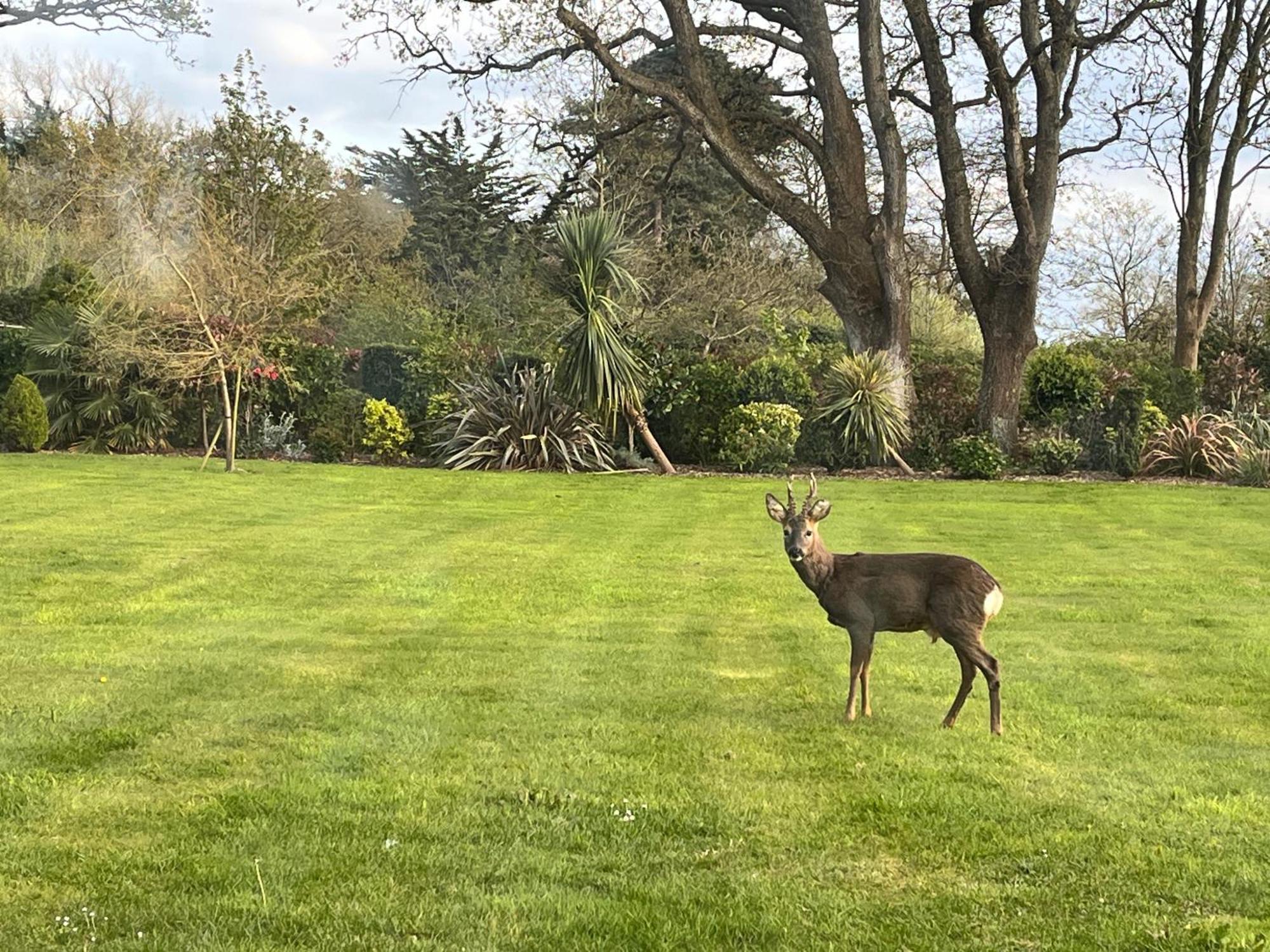 Stay At 'The Elms' In Tranquil Church Norton, Selsey - Ground Floor Bedroom, Own Private Bathroom, Quiet Beach, 2 Acre Garden By The Sea, On Edge Of Wildlife Nature Reserve Bagian luar foto
