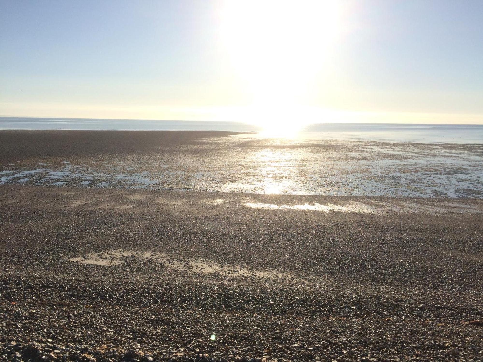 Stay At 'The Elms' In Tranquil Church Norton, Selsey - Ground Floor Bedroom, Own Private Bathroom, Quiet Beach, 2 Acre Garden By The Sea, On Edge Of Wildlife Nature Reserve Bagian luar foto