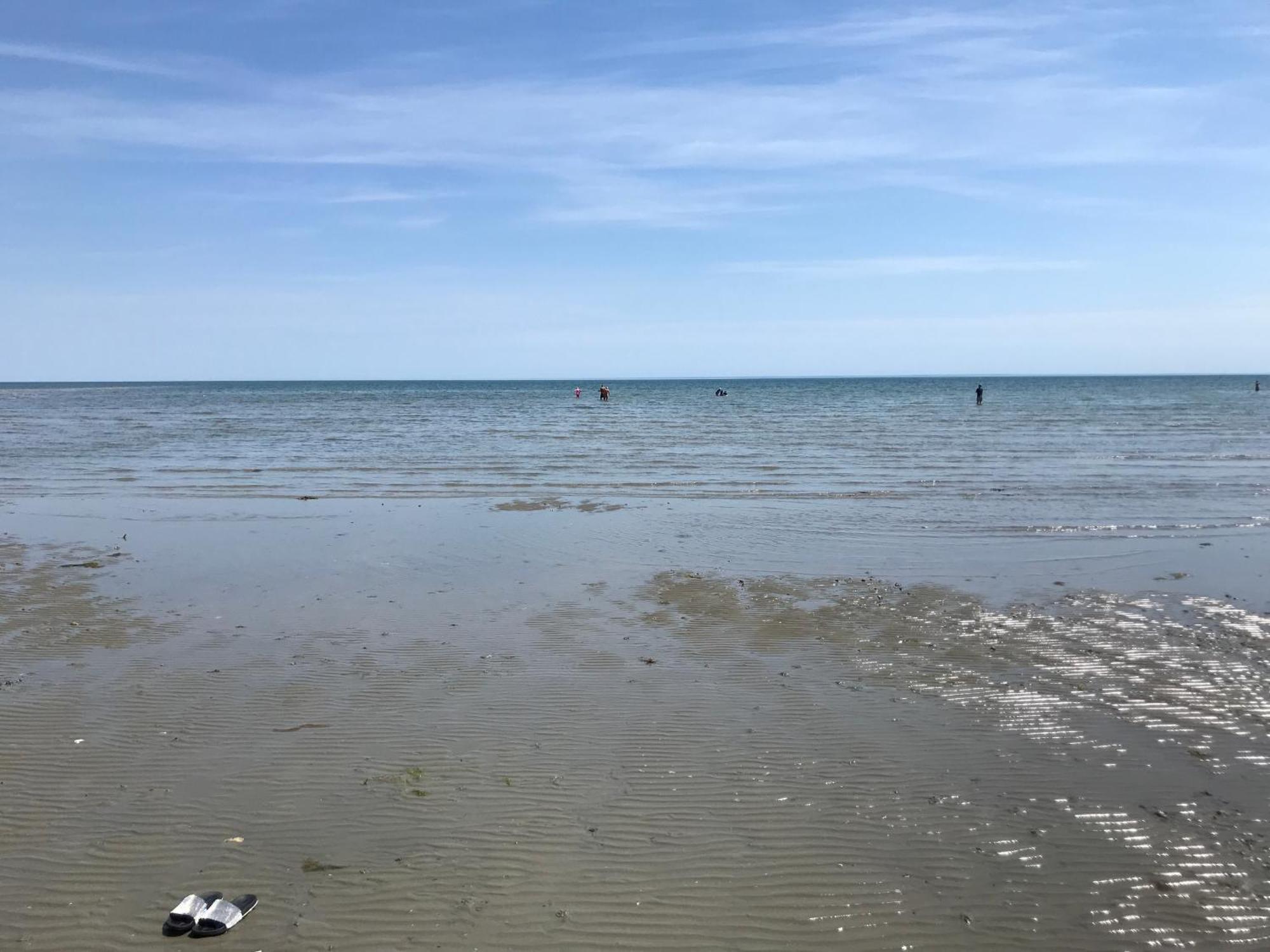 Stay At 'The Elms' In Tranquil Church Norton, Selsey - Ground Floor Bedroom, Own Private Bathroom, Quiet Beach, 2 Acre Garden By The Sea, On Edge Of Wildlife Nature Reserve Bagian luar foto